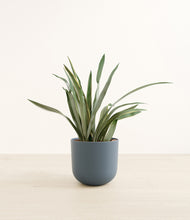 Load image into Gallery viewer, Iron Gray*****Profile