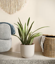 Load image into Gallery viewer, Natural Bamboo