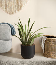 Load image into Gallery viewer, Stone Black