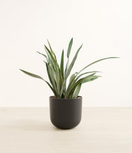 Load image into Gallery viewer, Stone Black*****Profile