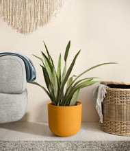 Load image into Gallery viewer, Sunset Orange