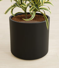 Load image into Gallery viewer, Black stand:all