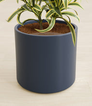 Load image into Gallery viewer, Deep Navy stand:all