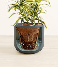 Load image into Gallery viewer, Iron Gray stand:all