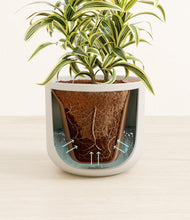 Load image into Gallery viewer, Natural Bamboo stand:all