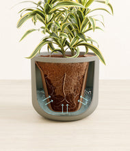 Load image into Gallery viewer, Sage Green