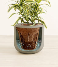 Load image into Gallery viewer, Sage Green stand:all
