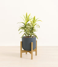 Load image into Gallery viewer, Iron Gray stand:bamboo