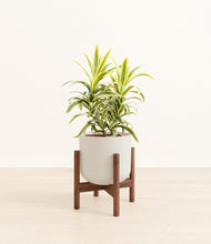 Load image into Gallery viewer, Natural Bamboo stand:walnut