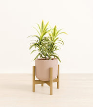 Load image into Gallery viewer, Sandy Pink stand:bamboo