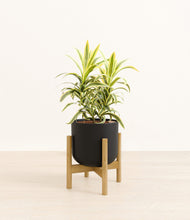 Load image into Gallery viewer, Stone Black stand:bamboo