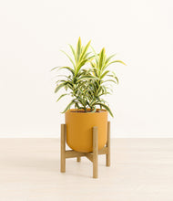 Load image into Gallery viewer, Sunset Orange stand:bamboo