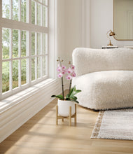 Load image into Gallery viewer, -