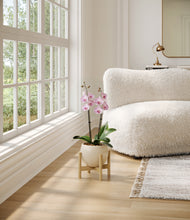 Load image into Gallery viewer, Shiny EggWhite stand:bamboo