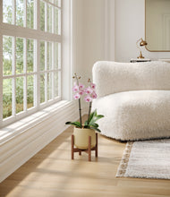 Load image into Gallery viewer, Almond Green stand:walnut