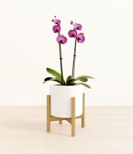 Load image into Gallery viewer, White stand:bamboo