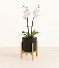Load image into Gallery viewer, Black stand:bamboo
