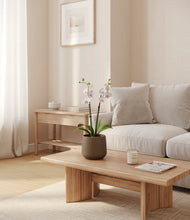 Load image into Gallery viewer, Olive