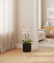 Load image into Gallery viewer, Black