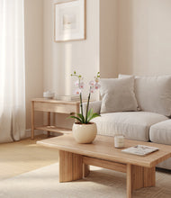 Load image into Gallery viewer, Shiny EggWhite