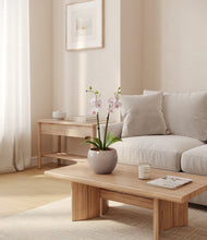 Load image into Gallery viewer, Winter Clouds