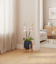 Load image into Gallery viewer, Deep Navy stand:bamboo