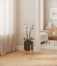 Load image into Gallery viewer, Dark Olive stand:bamboo