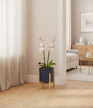 Load image into Gallery viewer, Deep Navy stand:bamboo