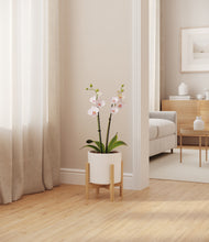 Load image into Gallery viewer, White stand:bamboo