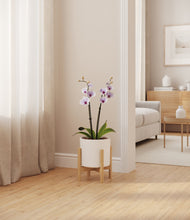 Load image into Gallery viewer, White stand:bamboo