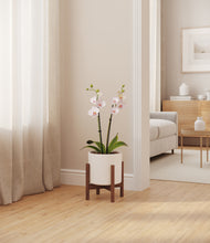 Load image into Gallery viewer, White stand:walnut