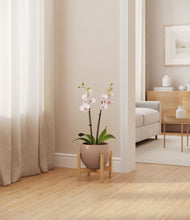 Load image into Gallery viewer, Desert Brown stand:bamboo