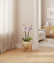 Load image into Gallery viewer, Shiny EggWhite stand:bamboo