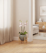 Load image into Gallery viewer, Deep Ocean stand:bamboo