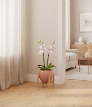 Load image into Gallery viewer, Calm Rose stand:bamboo