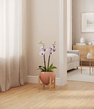 Load image into Gallery viewer, Calm Rose stand:bamboo