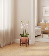 Load image into Gallery viewer, Calm Rose stand:walnut