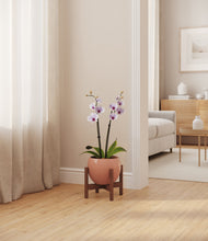 Load image into Gallery viewer, Calm Rose stand:walnut
