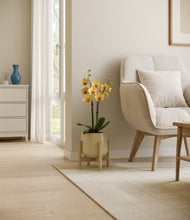 Load image into Gallery viewer, Almond Green stand:bamboo