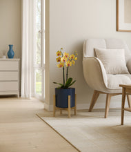 Load image into Gallery viewer, Deep Navy stand:bamboo
