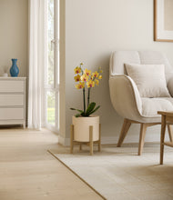 Load image into Gallery viewer, Cream stand:bamboo