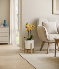 Load image into Gallery viewer, White stand:bamboo
