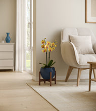 Load image into Gallery viewer, Deep Navy stand:walnut