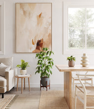 Load image into Gallery viewer, Summer Mist stand:one_stand