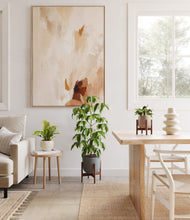 Load image into Gallery viewer, Summer Mist stand:two_stands