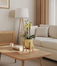 Load image into Gallery viewer, Almond Green stand:bamboo