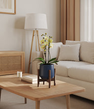 Load image into Gallery viewer, Deep Navy stand:walnut