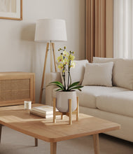 Load image into Gallery viewer, Eternal Gray stand:bamboo