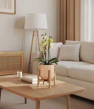 Load image into Gallery viewer, Gentle Pink stand:bamboo