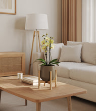 Load image into Gallery viewer, Olive stand:bamboo